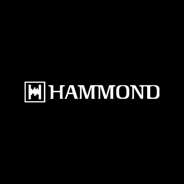 Hammond órganos, teclados y accesorios para músicos