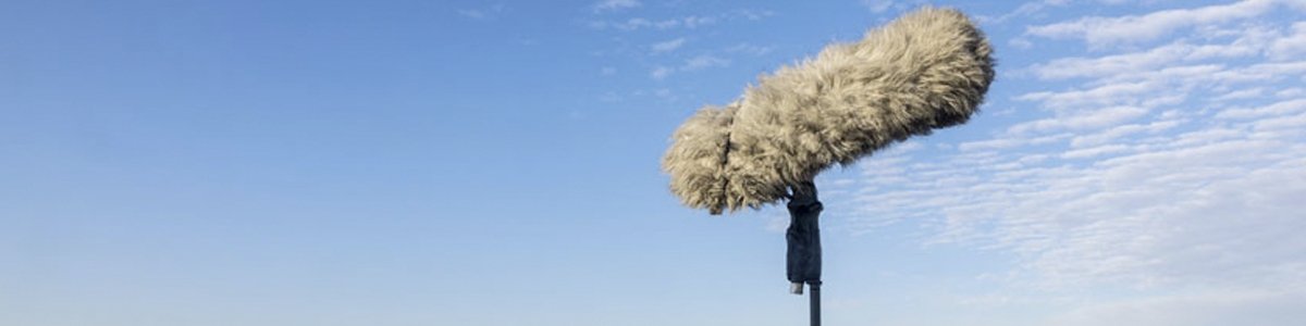 PROTECTORES DE VIENTO - https://www.cromaonline.cl/
