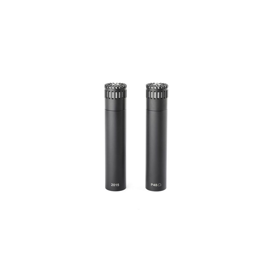 DPA ST2015 - Par estéreo con soportes y parabrisas