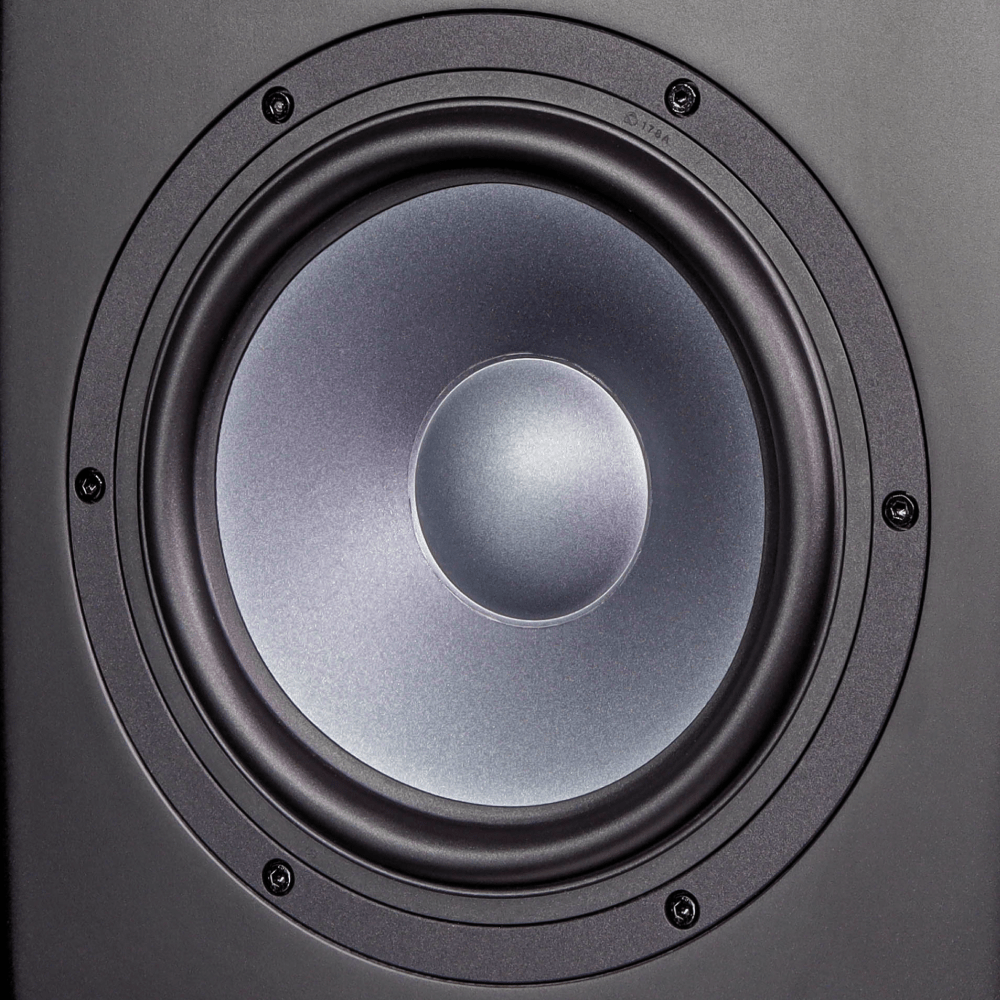 EVE Audio Exo 28 - Monitor de estudio activo de 2 vías 8"