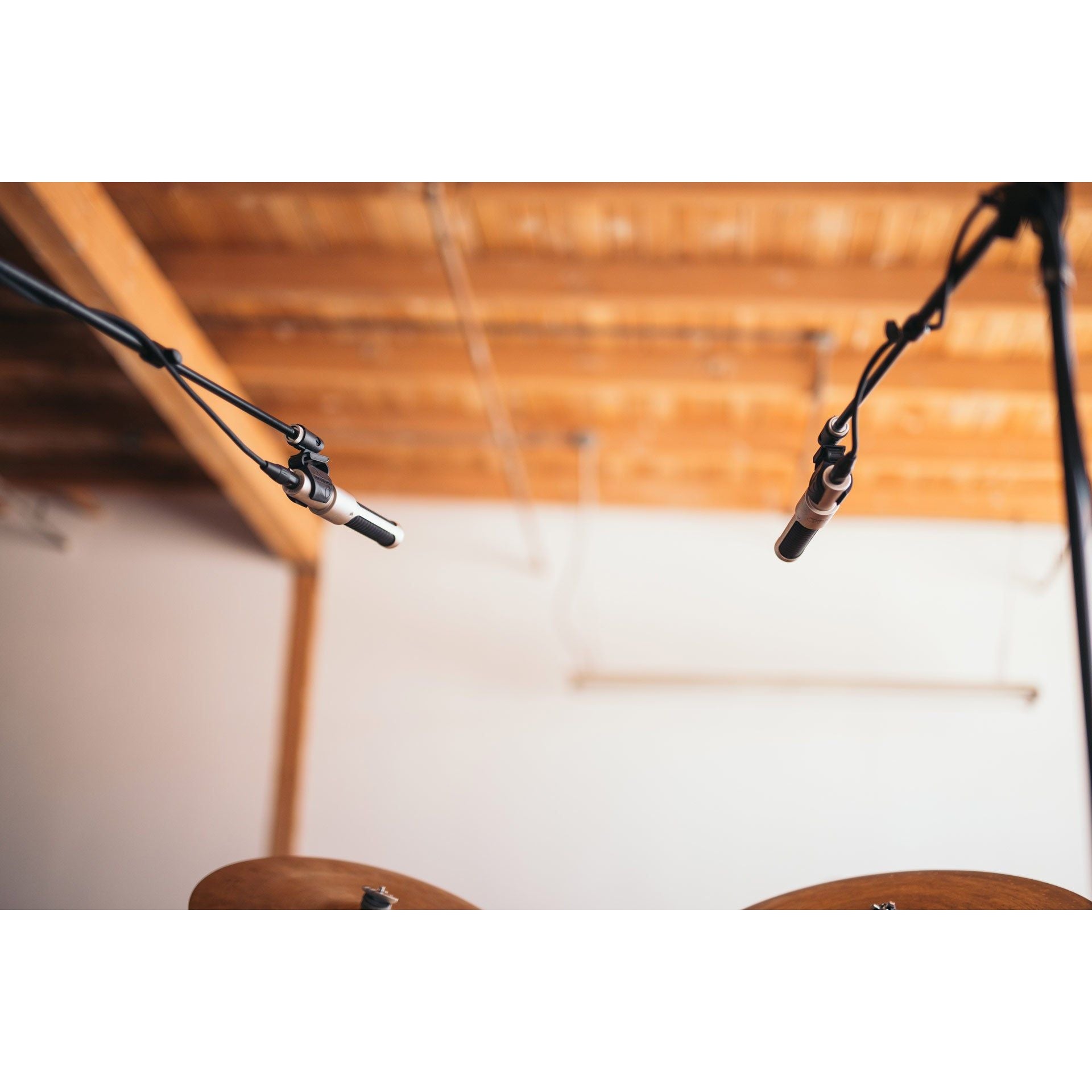 AEA Nuvo N22 Micrófono de cinta activo - https://www.cromaonline.cl/