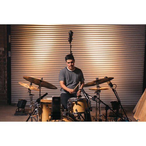 AEA R88 MkII Micrófono de cinta estéreo - https://www.cromaonline.cl/