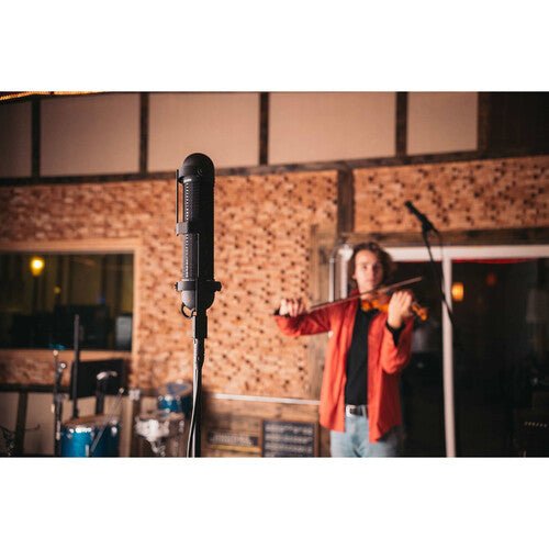 AEA R88 MkII Micrófono de cinta estéreo - https://www.cromaonline.cl/