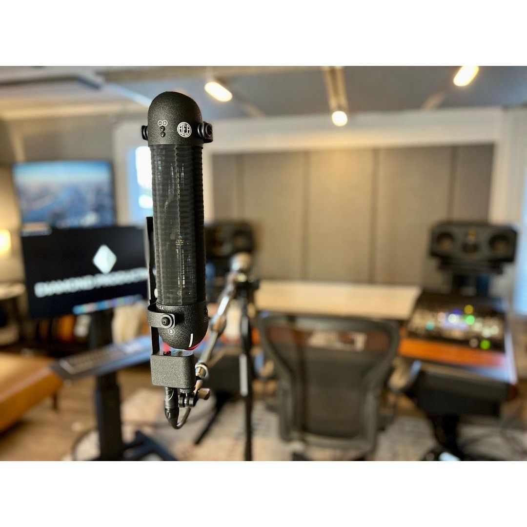 AEA R88A Micrófono de cinta activo - https://www.cromaonline.cl/