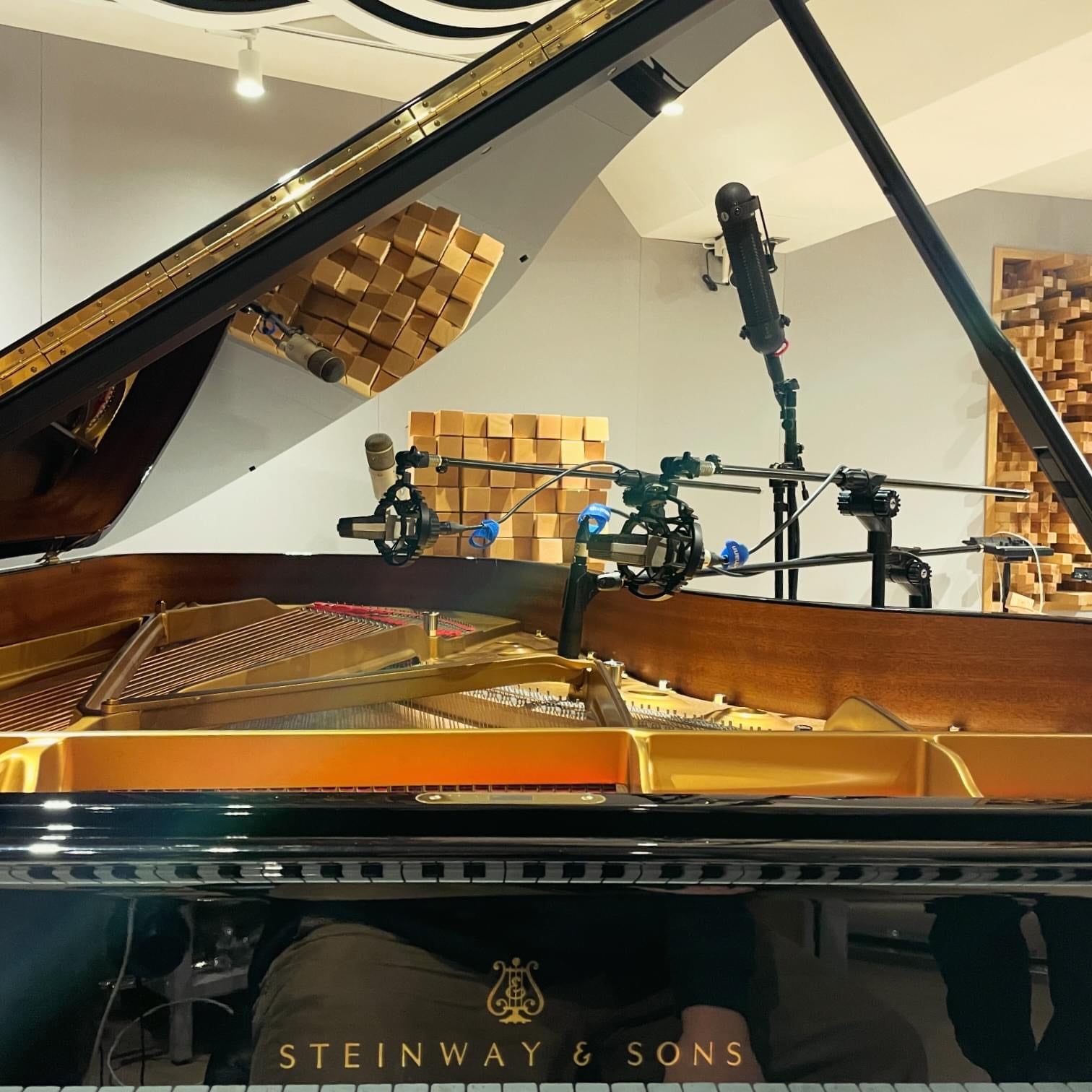 AEA R88A Micrófono de cinta activo - https://www.cromaonline.cl/