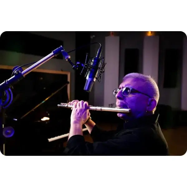 Slate ML - 1A - Micrófono condensador con modelación - https://www.cromaonline.cl/