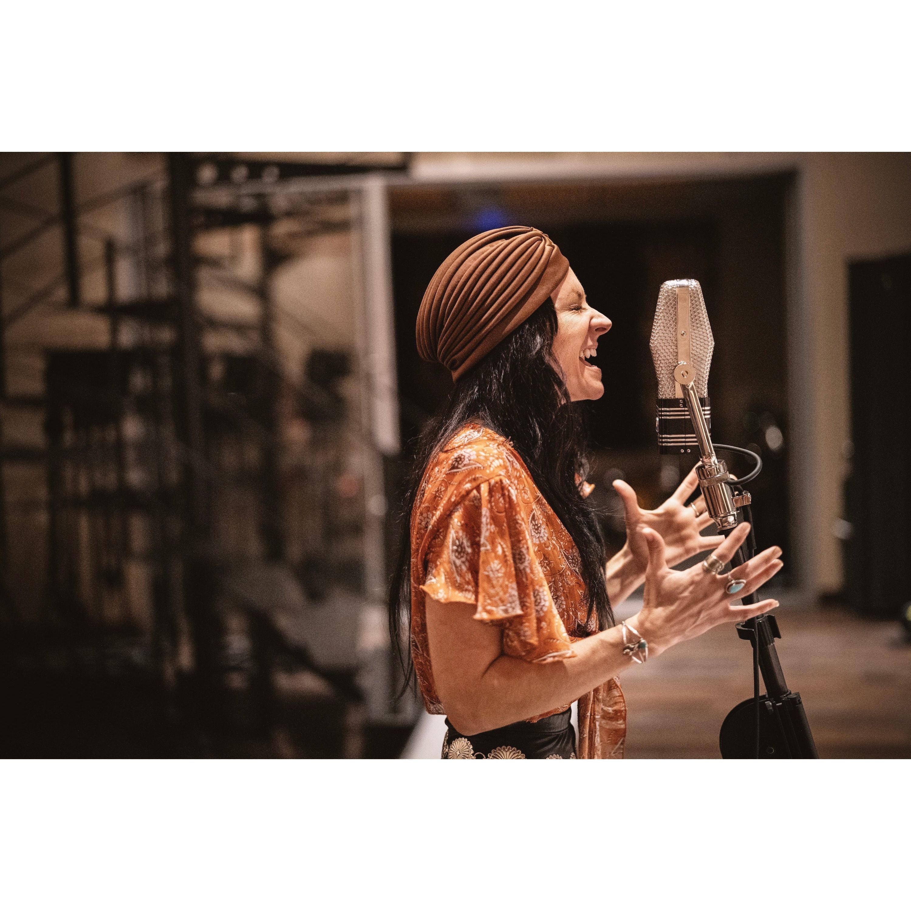 Warm Audio WA44 - Micrófono a cinta clásico - https://www.cromaonline.cl/