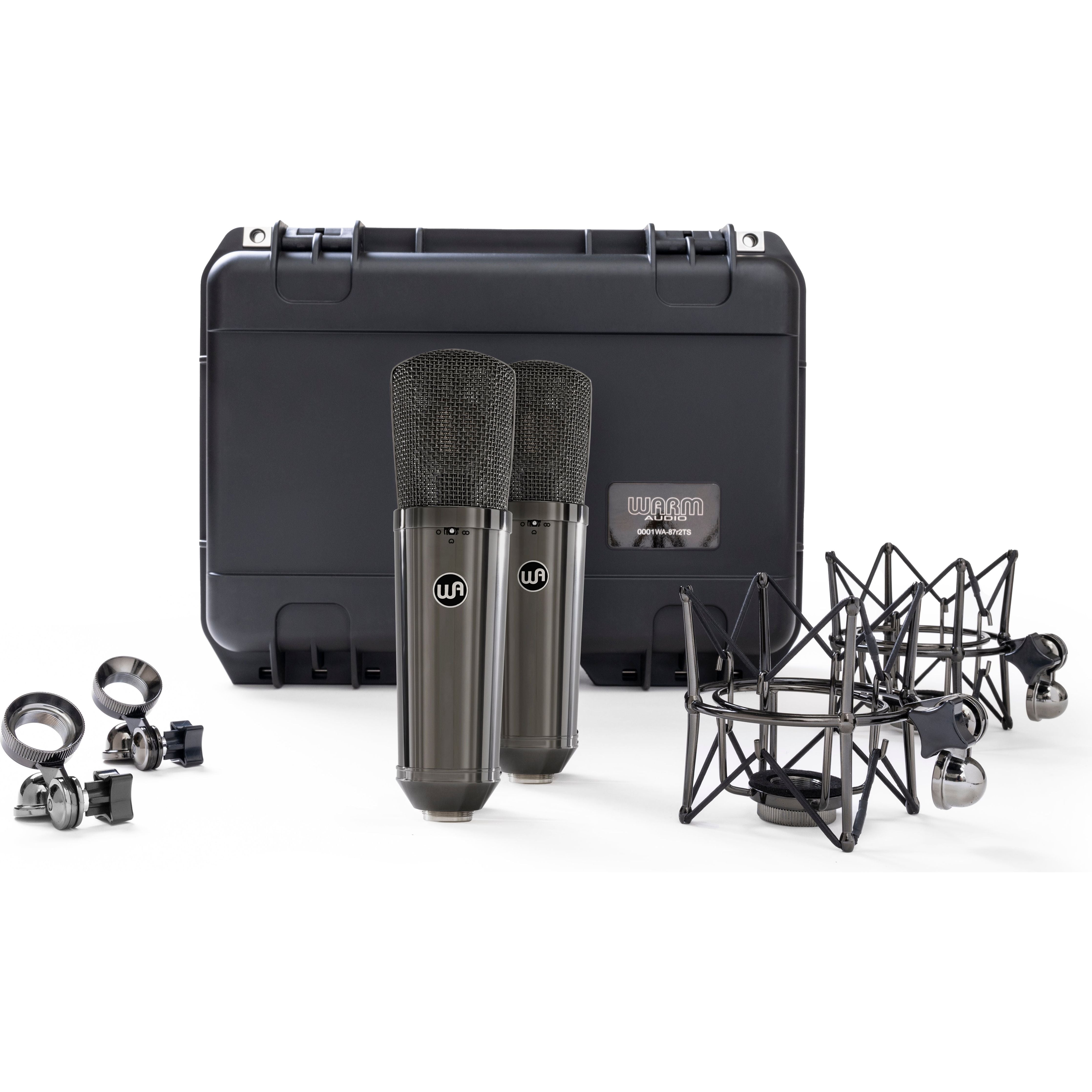 Warm Audio WA87R2 Par Stereo Titanium - https://www.cromaonline.cl/