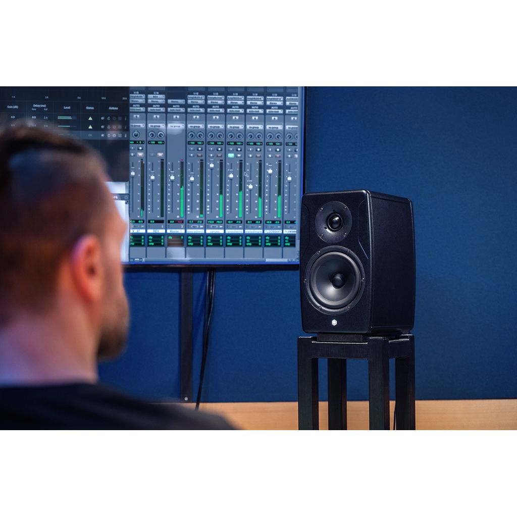 IK Multimedia iLoud Precision 5 MKII - Monitor activo de 5"