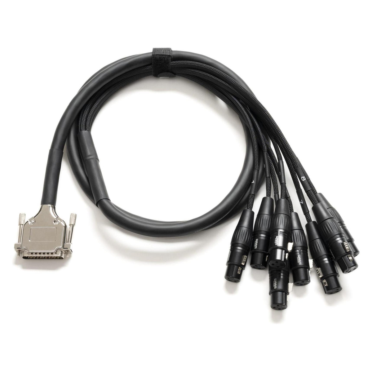 Warm Audio Premier DB25 a 8 XLR hembra de 1,8 m (6 pies)