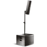 FBT Vertus CS1000 - Line Array Sub 12" + Columna de 1000W